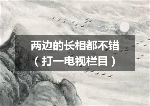 两边的长相都不错（打一电视栏目）