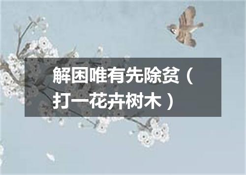 解困唯有先除贫（打一花卉树木）