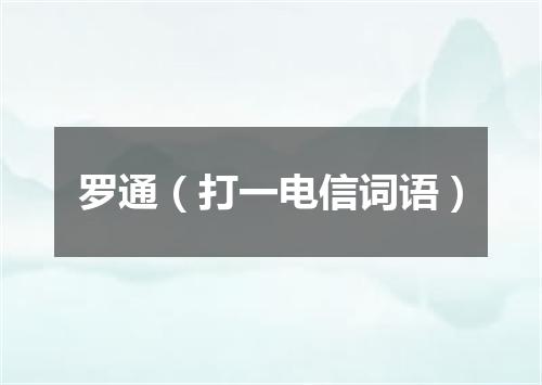 罗通（打一电信词语）