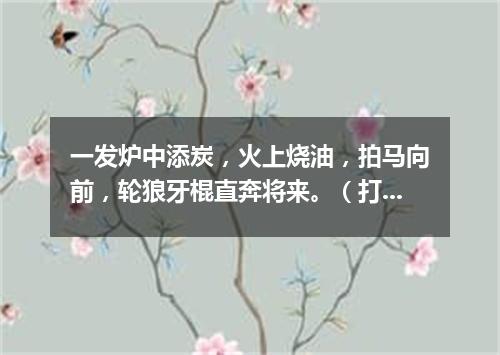 一发炉中添炭，火上烧油，拍马向前，轮狼牙棍直奔将来。（打一电视栏目）