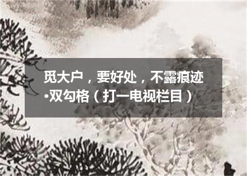 觅大户，要好处，不露痕迹·双勾格（打一电视栏目）