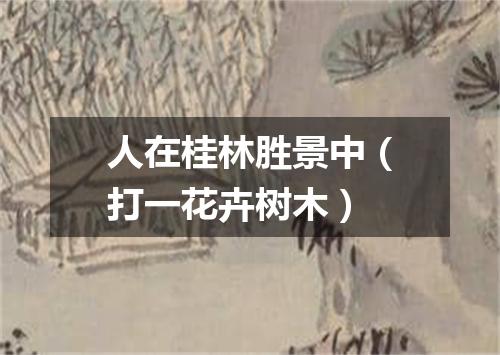 人在桂林胜景中（打一花卉树木）