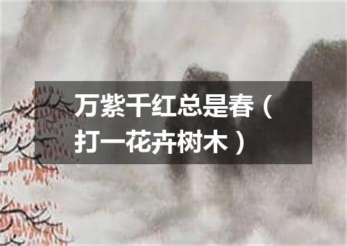 万紫千红总是春（打一花卉树木）