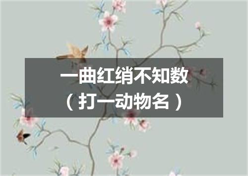 一曲红绡不知数（打一动物名）