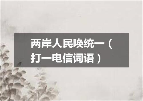 两岸人民唤统一（打一电信词语）