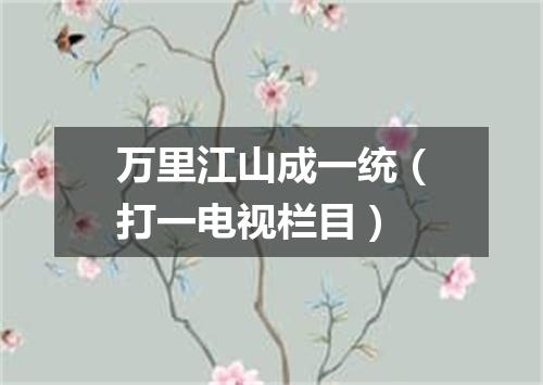 万里江山成一统（打一电视栏目）