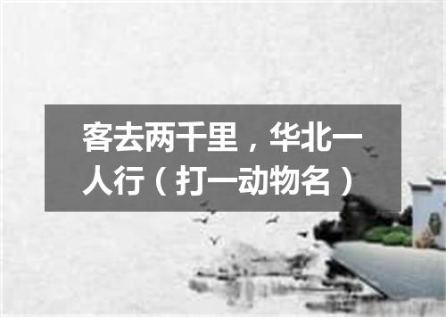 客去两千里，华北一人行（打一动物名）
