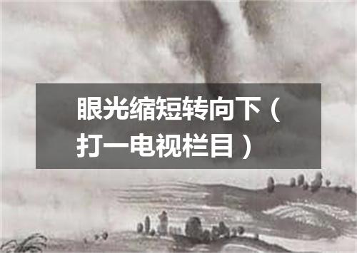 眼光缩短转向下（打一电视栏目）