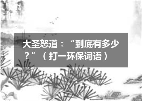 大圣怒道：“到底有多少？”（打一环保词语）