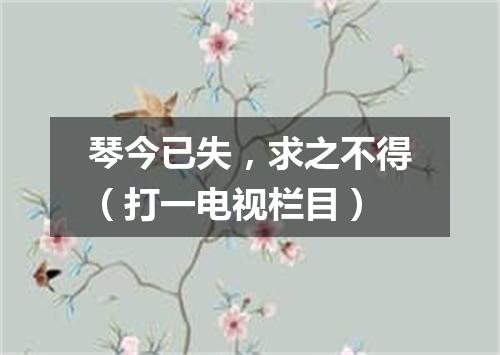 琴今已失，求之不得（打一电视栏目）