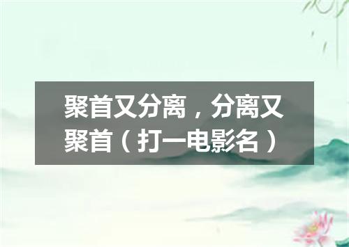 聚首又分离，分离又聚首（打一电影名）