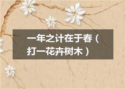 一年之计在于春（打一花卉树木）