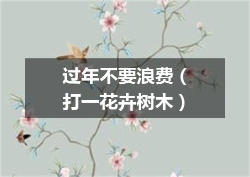 过年不要浪费（打一花卉树木）