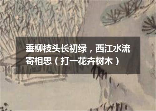垂柳枝头长初绿，西江水流寄相思（打一花卉树木）