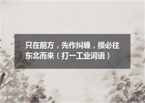 只在前方，先作纠缠，操必往东北而来（打一工业词语）