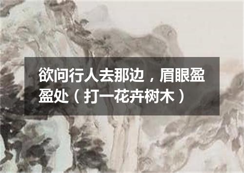 欲问行人去那边，眉眼盈盈处（打一花卉树木）