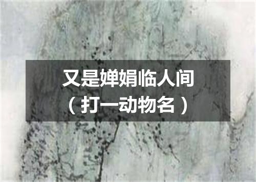 又是婵娟临人间（打一动物名）