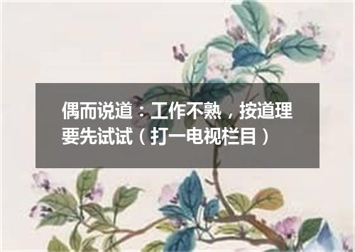 偶而说道：工作不熟，按道理要先试试（打一电视栏目）