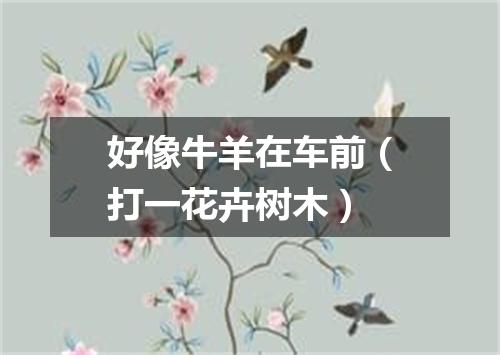 好像牛羊在车前（打一花卉树木）