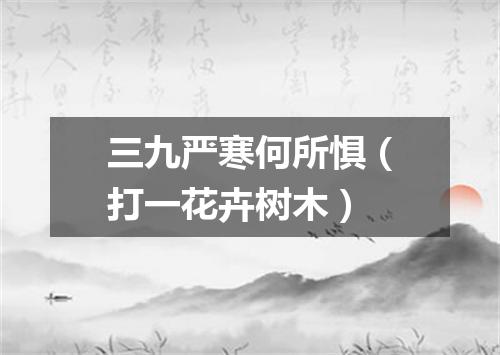 三九严寒何所惧（打一花卉树木）