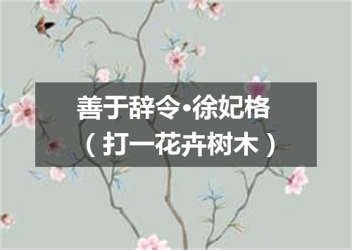 善于辞令·徐妃格（打一花卉树木）