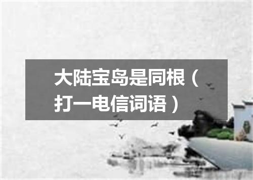 大陆宝岛是同根（打一电信词语）