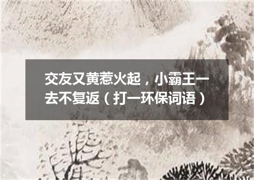 交友又黄惹火起，小霸王一去不复返（打一环保词语）