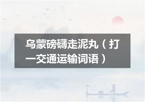 乌蒙磅礴走泥丸（打一交通运输词语）