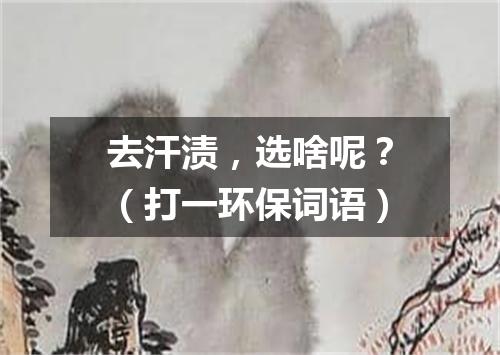 去汗渍，选啥呢？（打一环保词语）