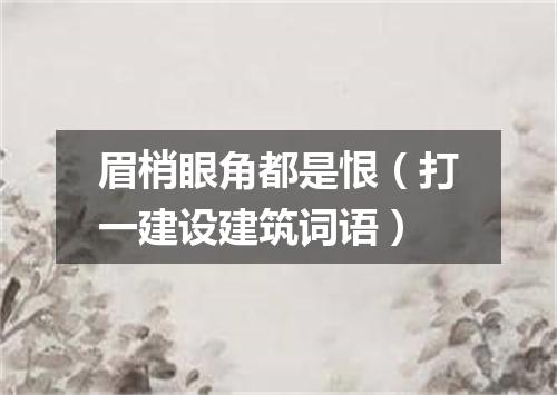 眉梢眼角都是恨（打一建设建筑词语）