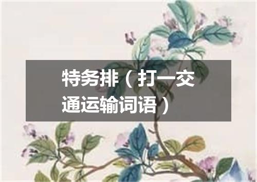 特务排（打一交通运输词语）