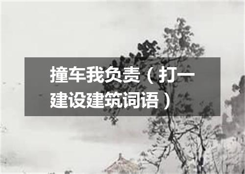 撞车我负责（打一建设建筑词语）