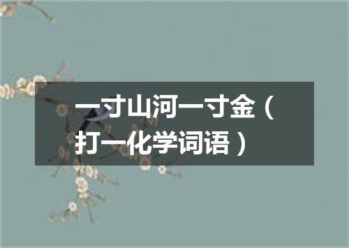 一寸山河一寸金（打一化学词语）
