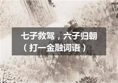 七子救驾，六子归朝（打一金融词语）