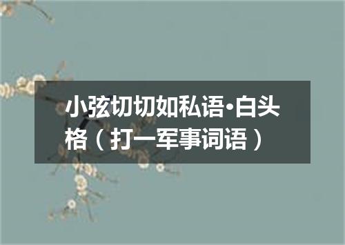小弦切切如私语·白头格（打一军事词语）