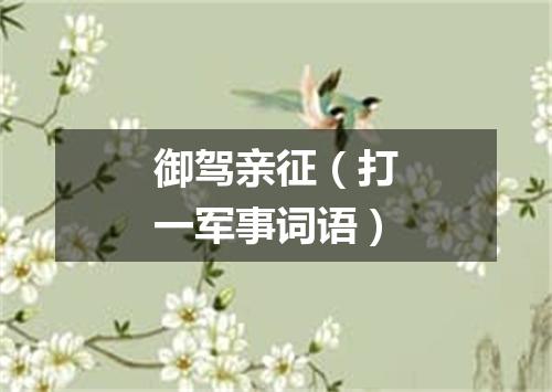 御驾亲征（打一军事词语）