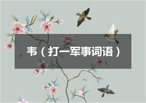 韦（打一军事词语）