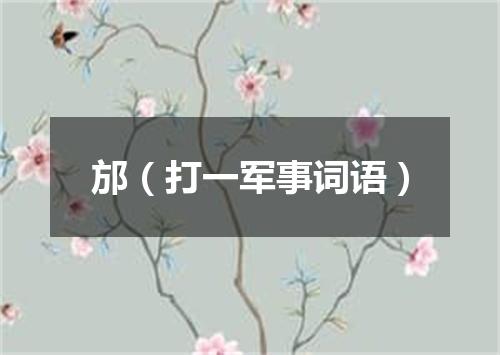 邡（打一军事词语）