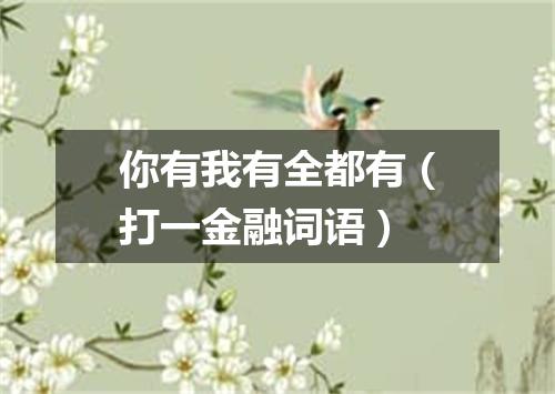 你有我有全都有（打一金融词语）