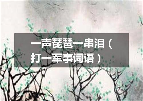 一声琵琶一串泪（打一军事词语）