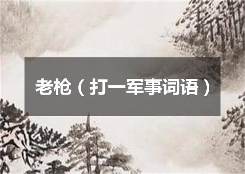 老枪（打一军事词语）