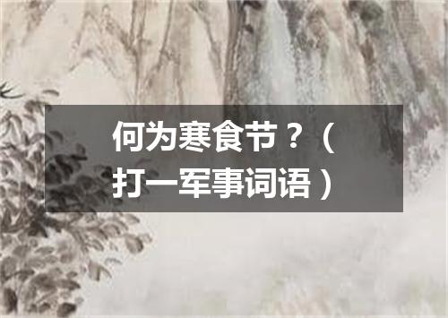 何为寒食节？（打一军事词语）