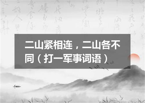 二山紧相连，二山各不同（打一军事词语）