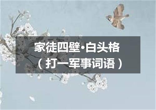 家徒四壁·白头格（打一军事词语）