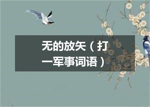 无的放矢（打一军事词语）