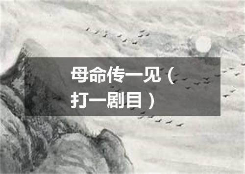 母命传一见（打一剧目）