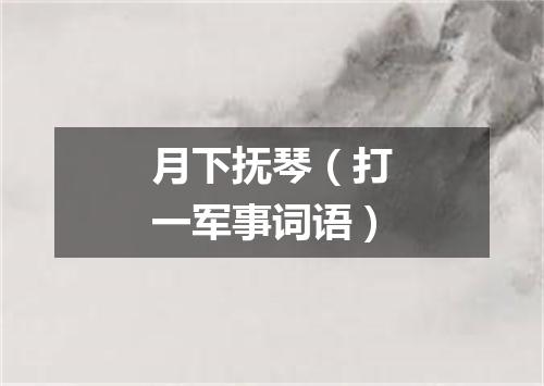 月下抚琴（打一军事词语）