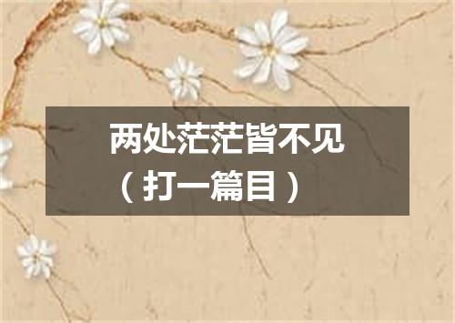 两处茫茫皆不见（打一篇目）