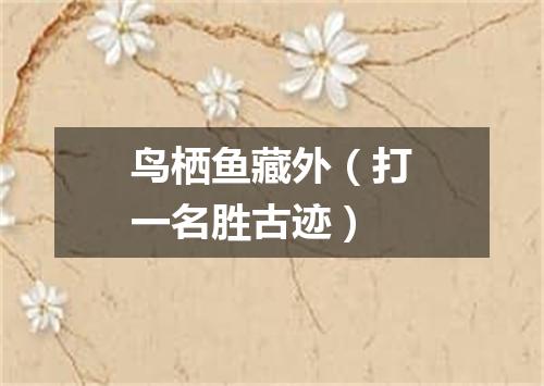 鸟栖鱼藏外（打一名胜古迹）