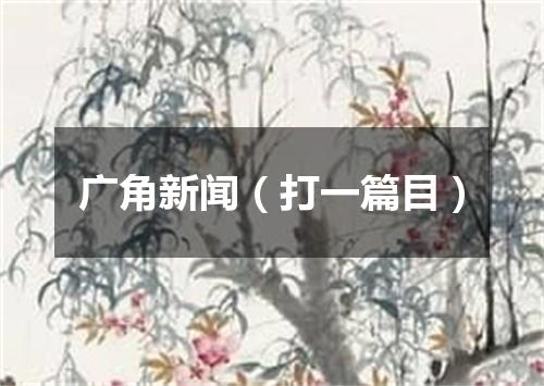 广角新闻（打一篇目）